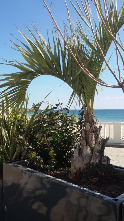 Ty Avel Studios 110 Et 111 Quiberon Esterno foto